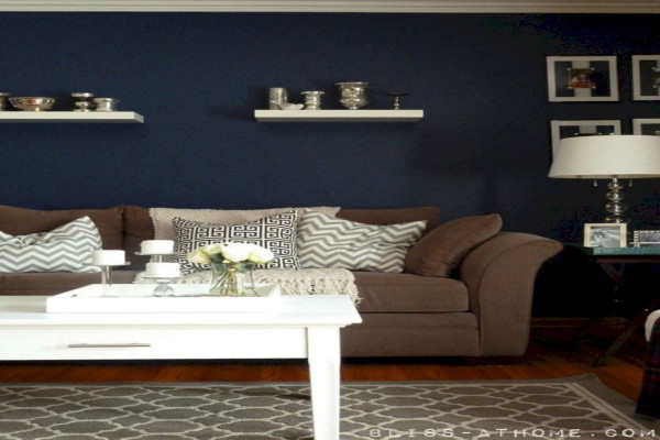 Blue And Brown Living Room