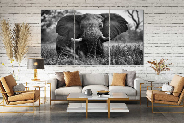 Canvas Set of Elephant, Elephant Living Room Wall Decor Ideas