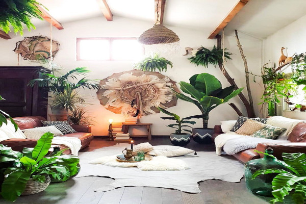 Jungle Theme Living Room