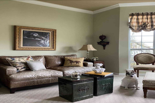 Sage Green Living Room Decor