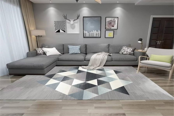 house ornaments for living roomRectangular Gray Carpet Modern Living Room Carpet Bedroom Carpet Stain Resistantroom accessories for teen girlsmats for