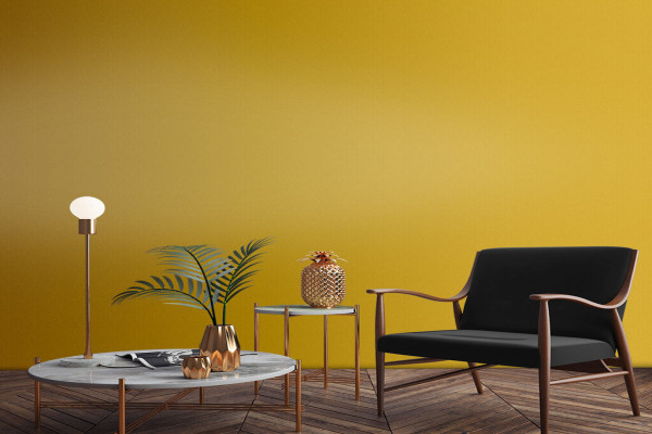 Mustard Feature Wall