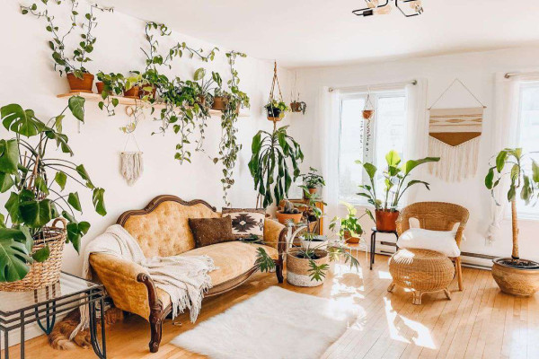 Transform Your Living Room Into A Lush Oasis: Indoor Garden Ideas For Every Style