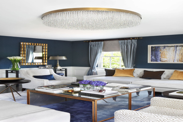 Navy Blue Living Room Ideas - Photos & Ideas Houzz