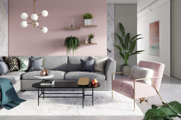 Pink Living Room Accessories