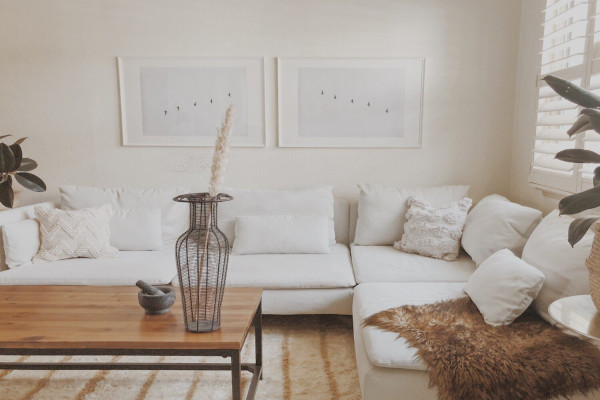 White And Wood Living Room