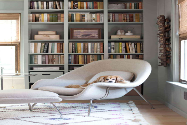 Best Home Library Ideas For Cozy Rainy Day Reading Sessions