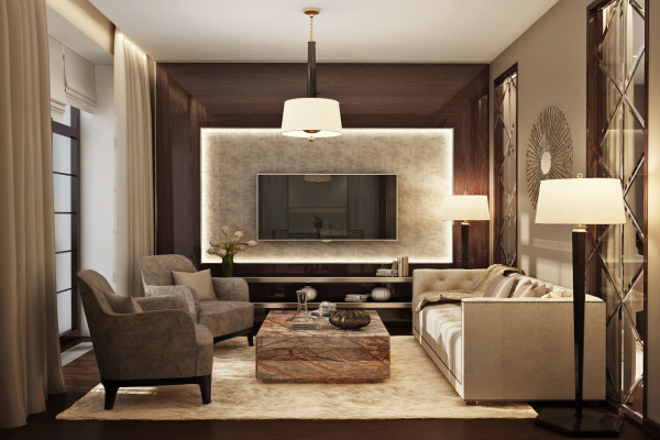 Luxury Apartment Living Room Design