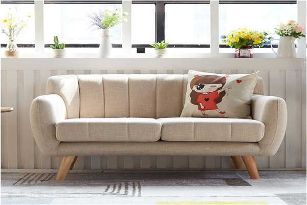 Small Design Sofa Ideas