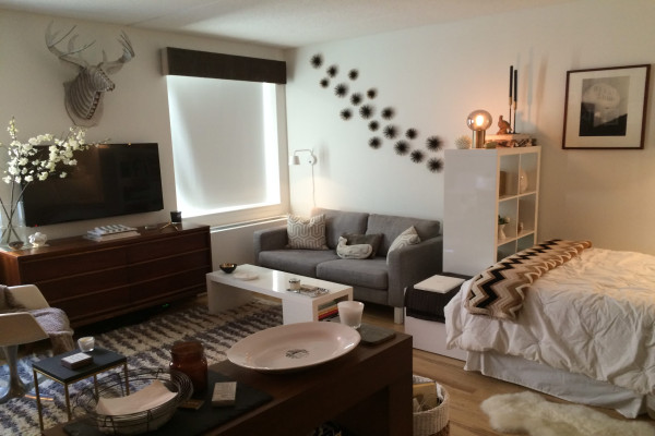 Studio Apartment Layouts — Smart Way to Lay Out a Studio