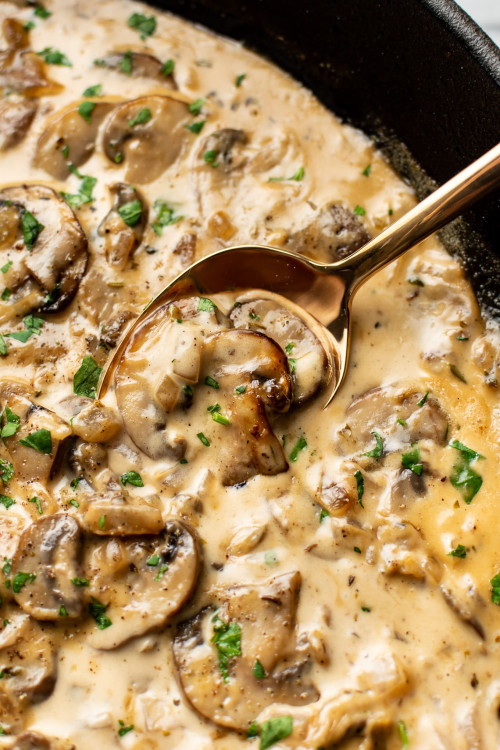 Mushroom And Cream Sauce